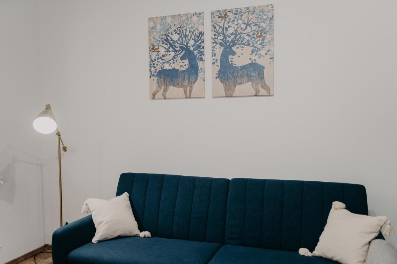 Apartamentul Albastru Vatra Dornei Exterior foto