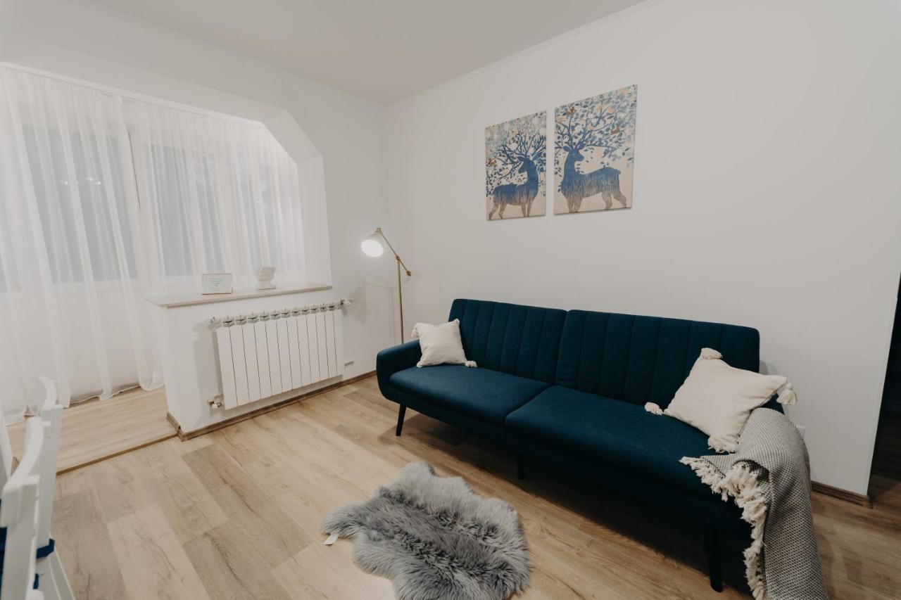 Apartamentul Albastru Vatra Dornei Exterior foto